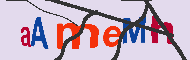 Codice captcha