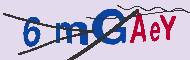 Codice captcha