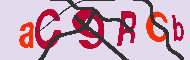 Codice captcha